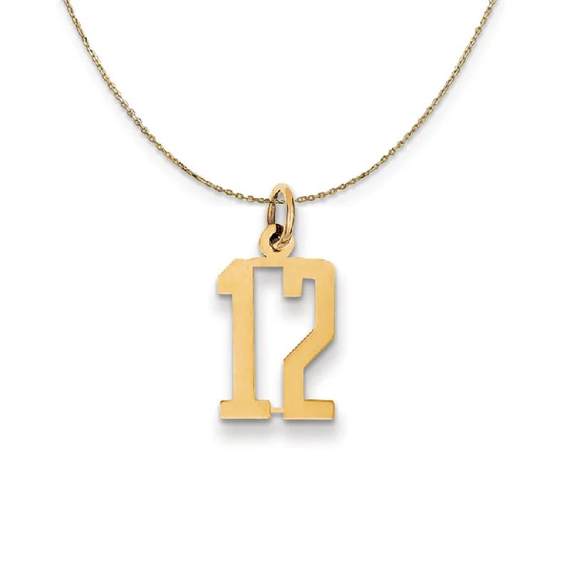 14k Yellow Gold, Alumni Small Elongated Number 12 Necklace