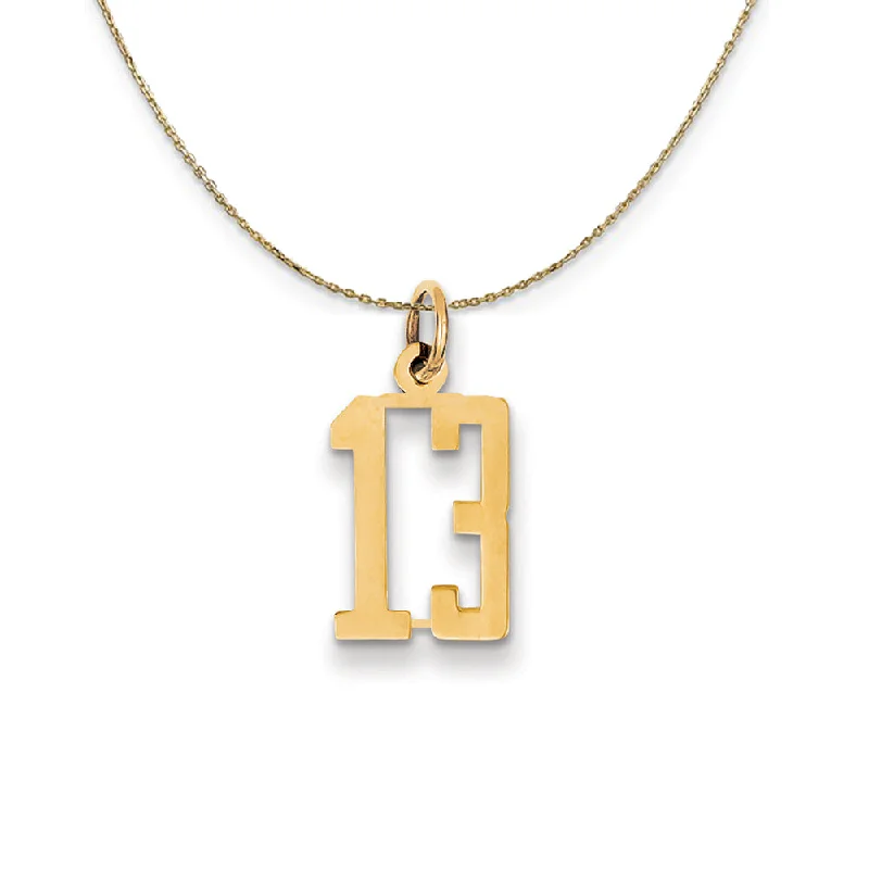 14k Yellow Gold, Alumni Small Elongated Number 13 Necklace