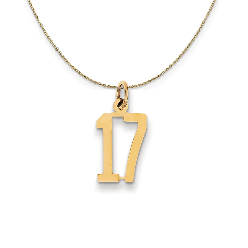 Radiant-cut sapphire necklace-14k Yellow Gold, Alumni Small Elongated Number 17 Necklace