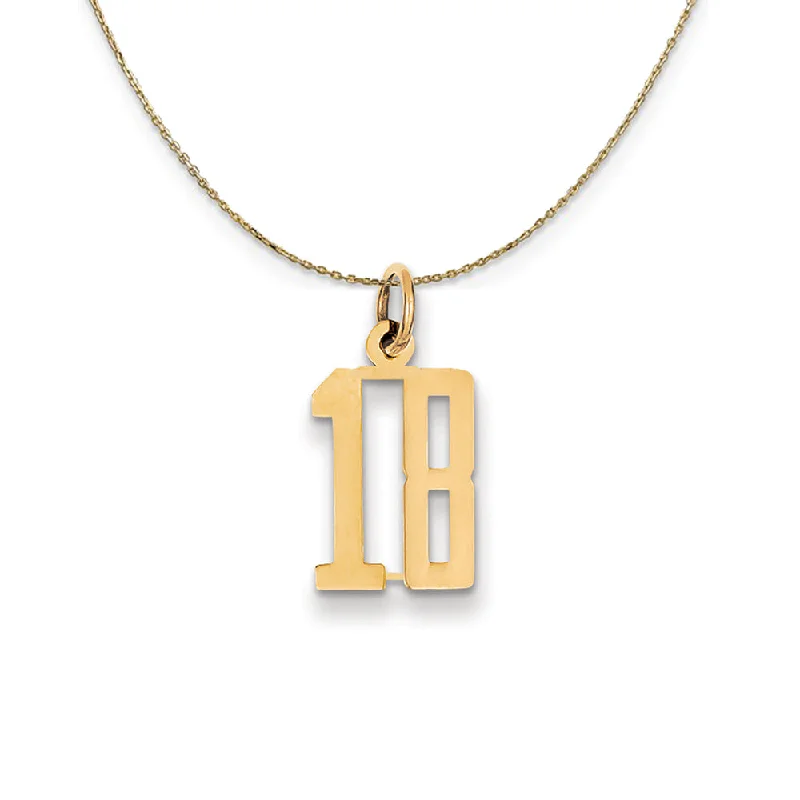 Tartan check necklace-14k Yellow Gold, Alumni Small Elongated Number 18 Necklace