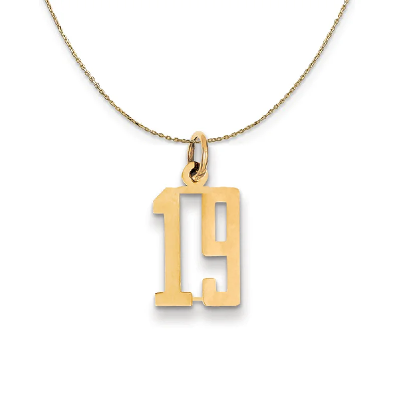 Cedar nut necklace-14k Yellow Gold, Alumni Small Elongated Number 19 Necklace