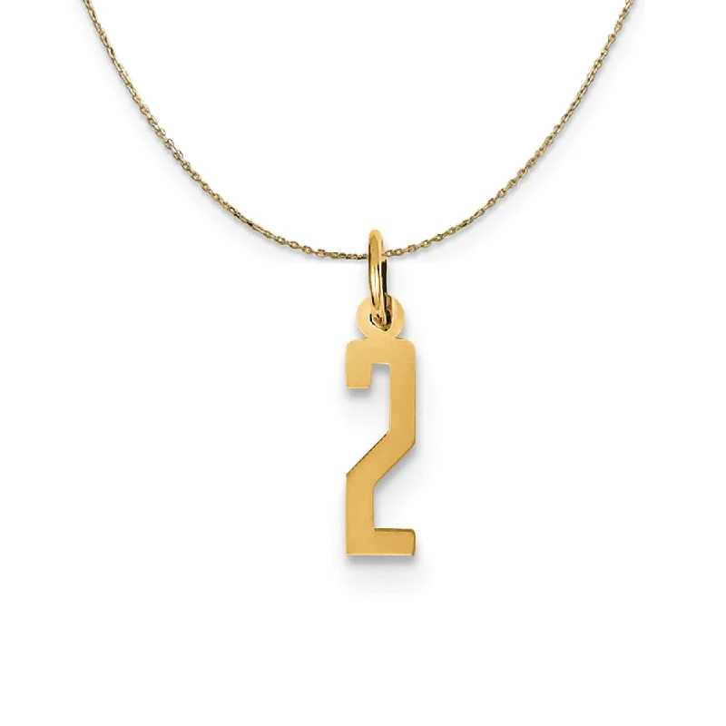 Classic flair necklace-14k Yellow Gold, Alumni Small Elongated Number 2 Necklace