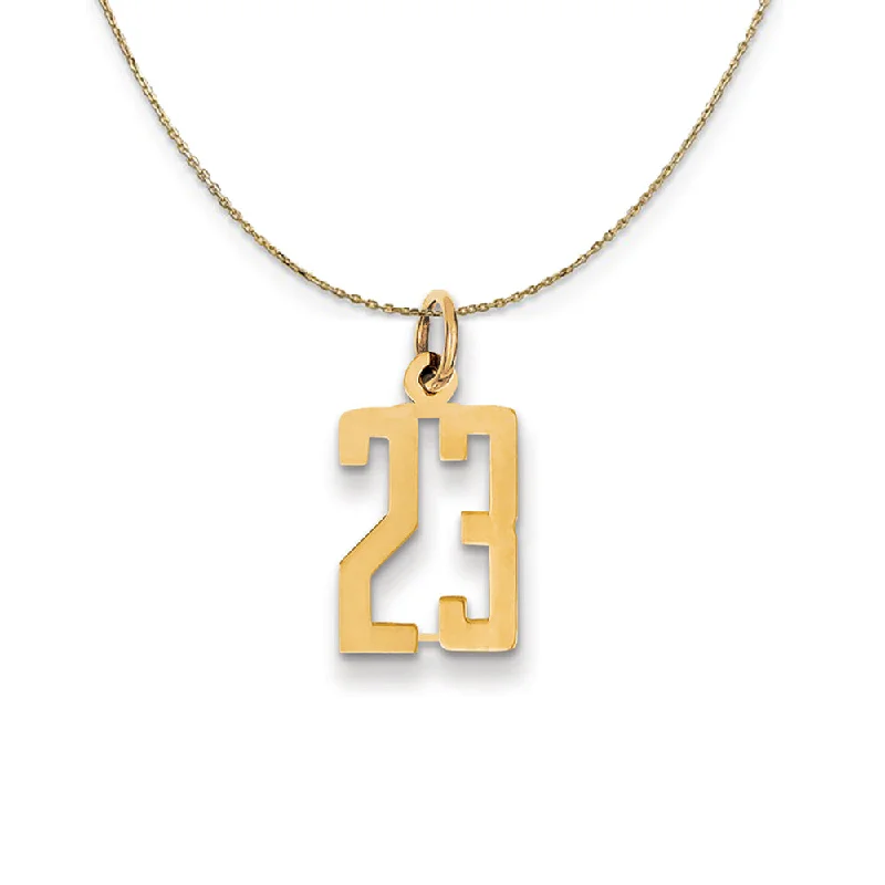 14k Yellow Gold, Alumni Small Elongated Number 23 Necklace