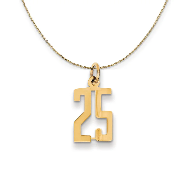 14k Yellow Gold, Alumni Small Elongated Number 25 Necklace