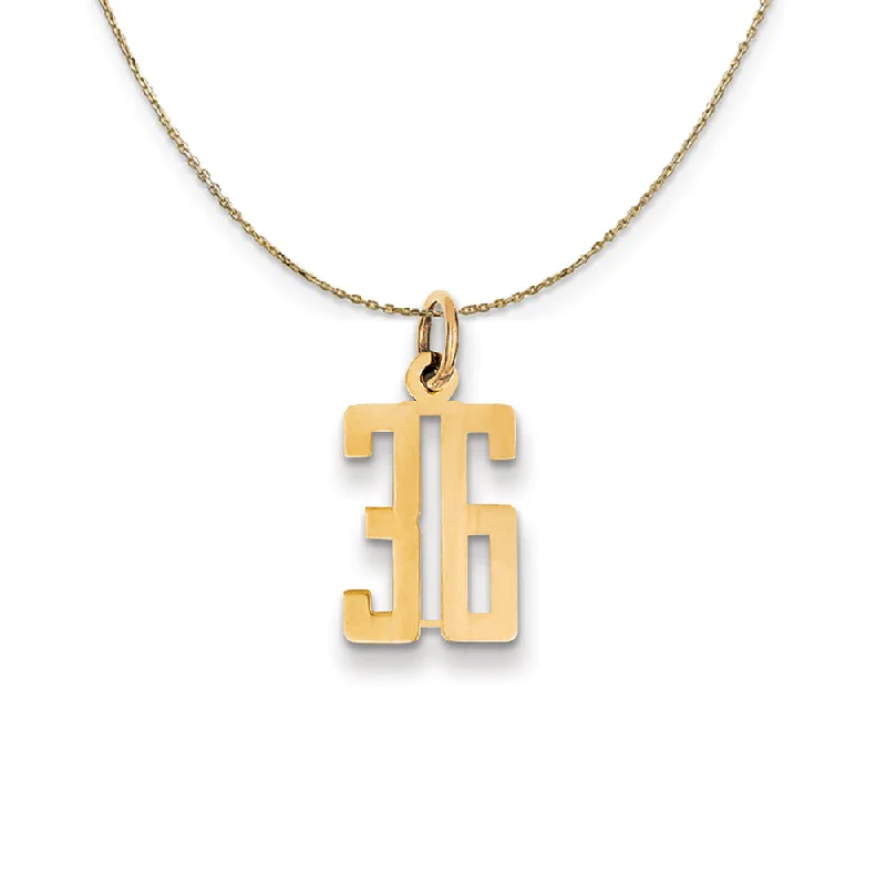 14k Yellow Gold, Alumni Small Elongated Number 36 Necklace