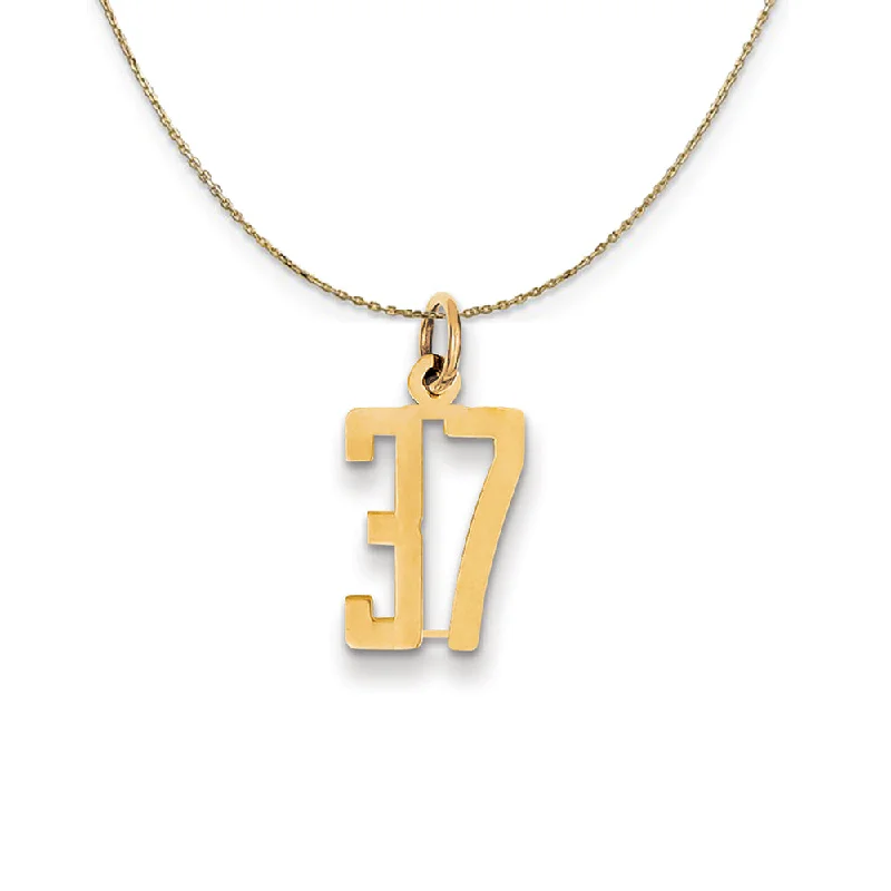 Frosted quartz necklace-14k Yellow Gold, Alumni Small Elongated Number 37 Necklace