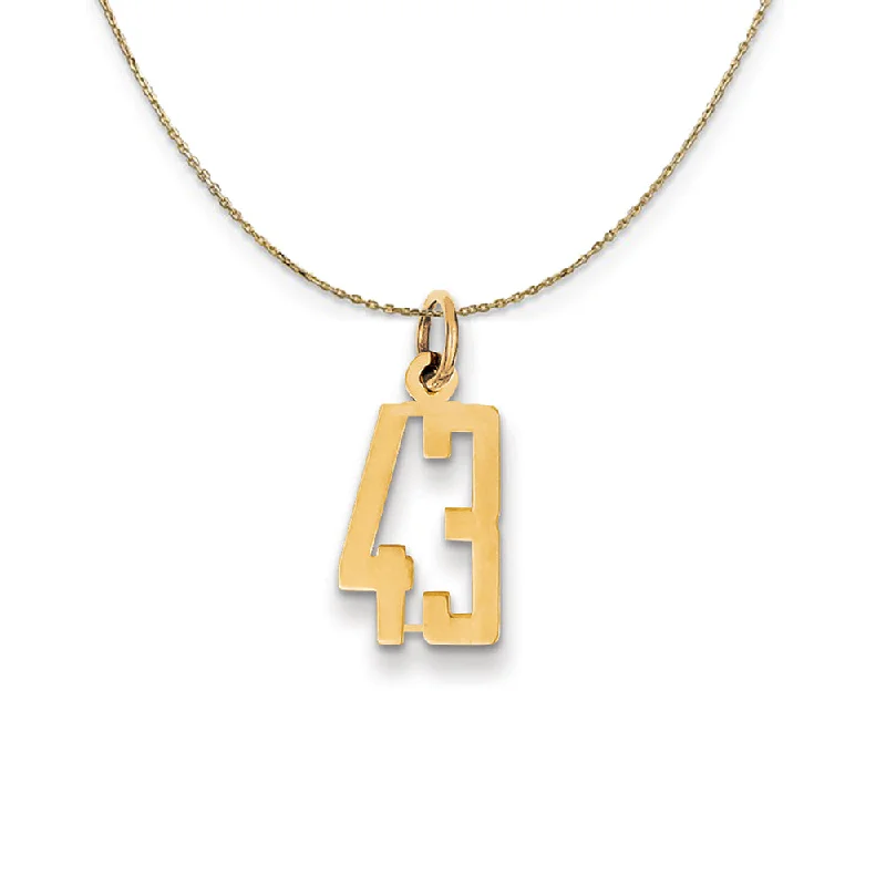 Streaked stone necklace-14k Yellow Gold, Alumni Small Elongated Number 43 Necklace