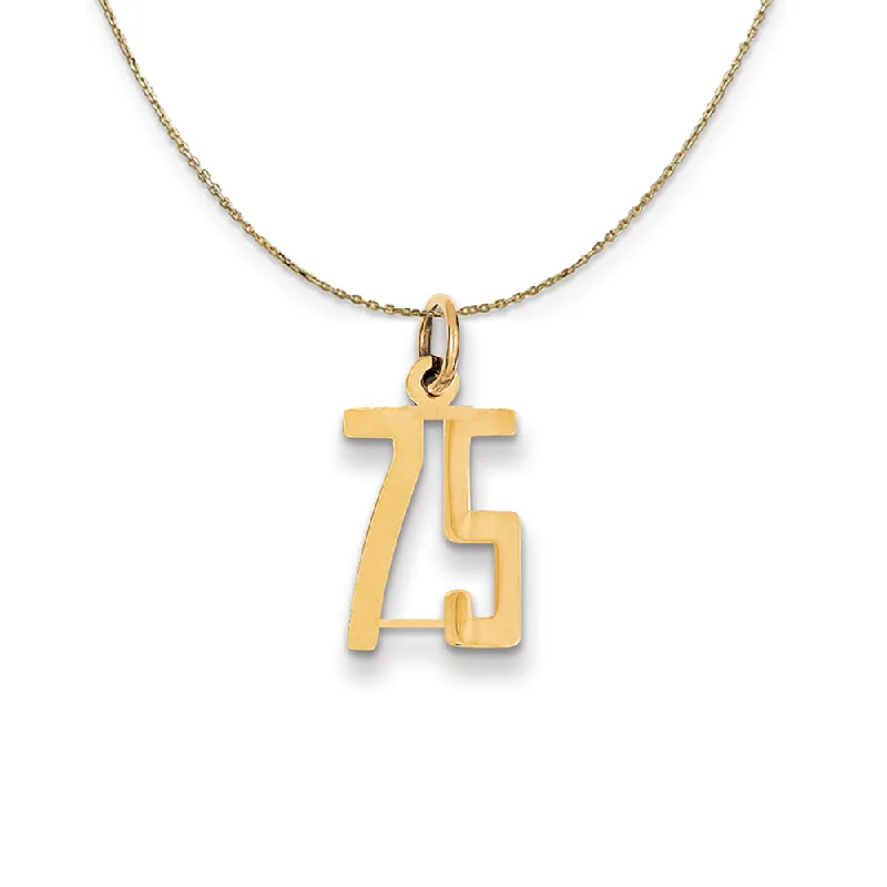 Scuffed edge necklace-14k Yellow Gold, Alumni Small Elongated Number 75 Necklace