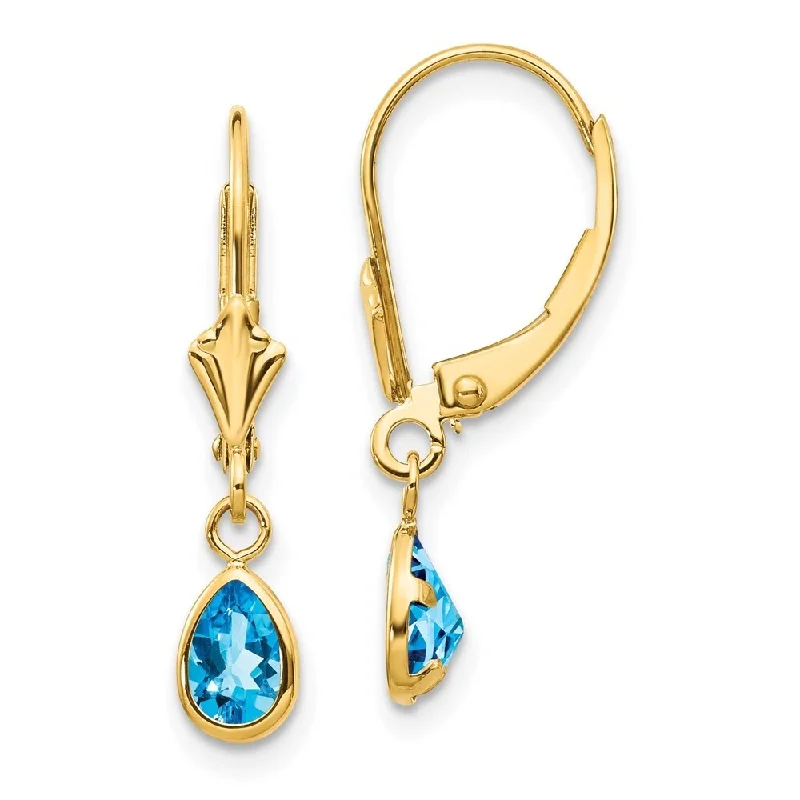 Fossil fragment earrings-14k Yellow Gold 6x4mm December/Blue Gemstone Earrings (L-23 mm, W-4 mm)