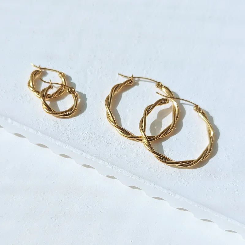 Barley stalk earrings-Minimal Twist Hoop Earrings III